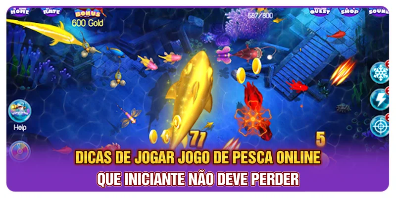 Dicas de jogar jogo de pesca online que iniciante não deve perder