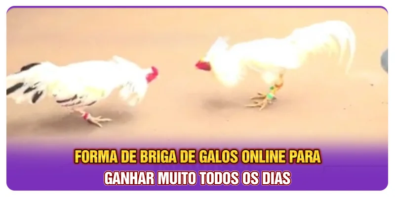 Forma de briga de galos online para ganhar muito todos os dias