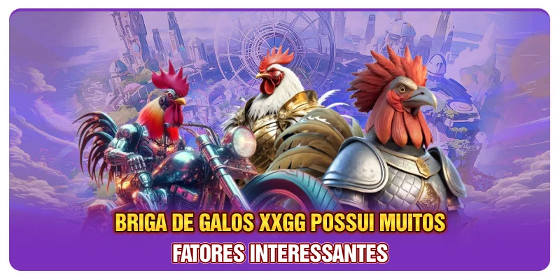 Briga de galos XXGG possui muitos fatores interessantes Briga de galos XXGG possui muitos fatores interessantes