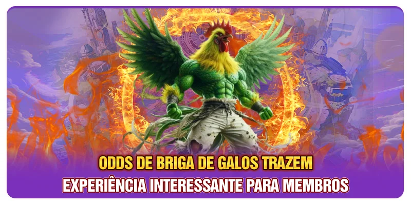 Odds de briga de galos trazem experiência interessante para membros Odds de briga de galos trazem experiência interessante para membros